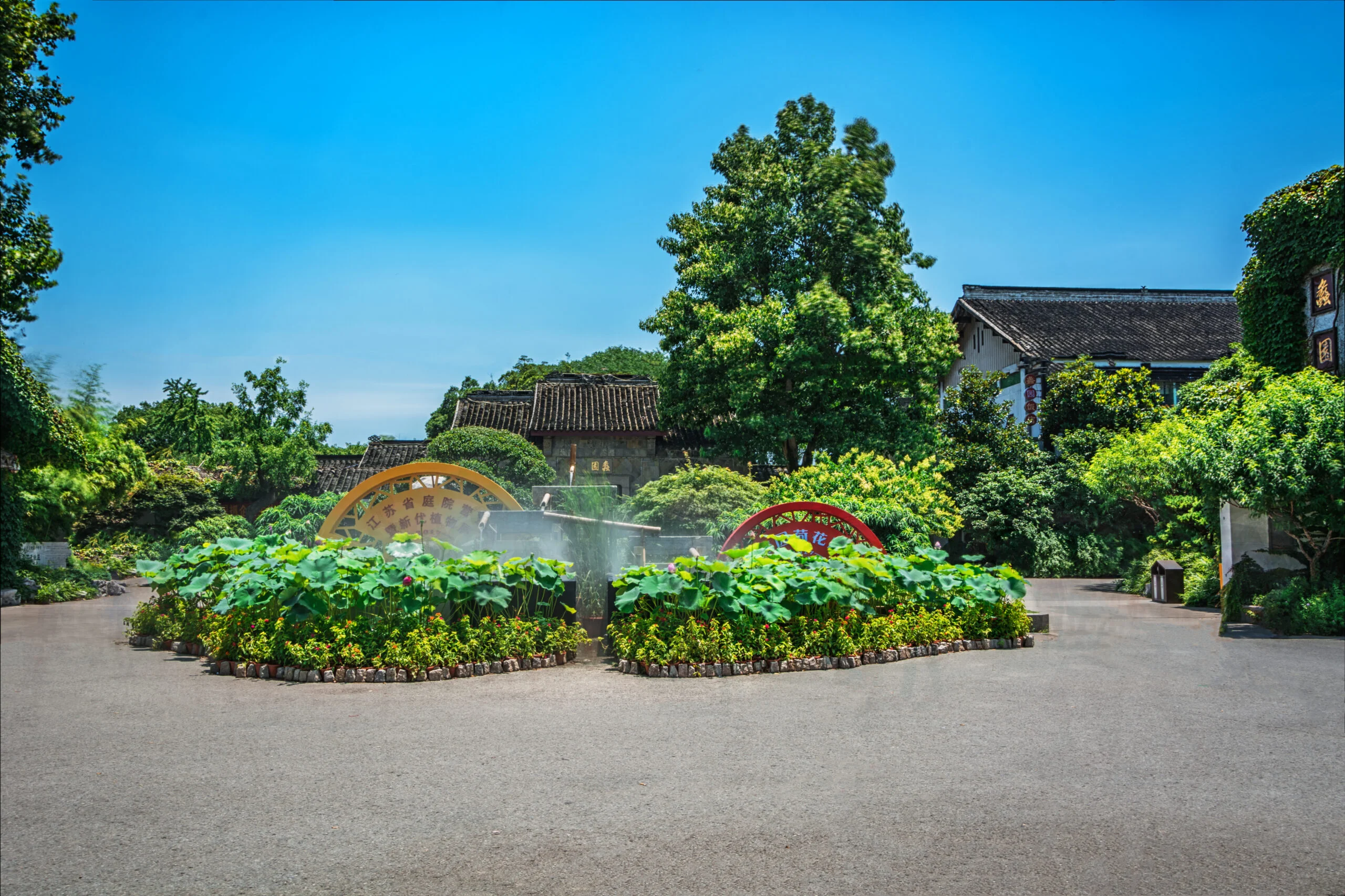 Prairie-style garden with native grasses and coneflowers in PA.