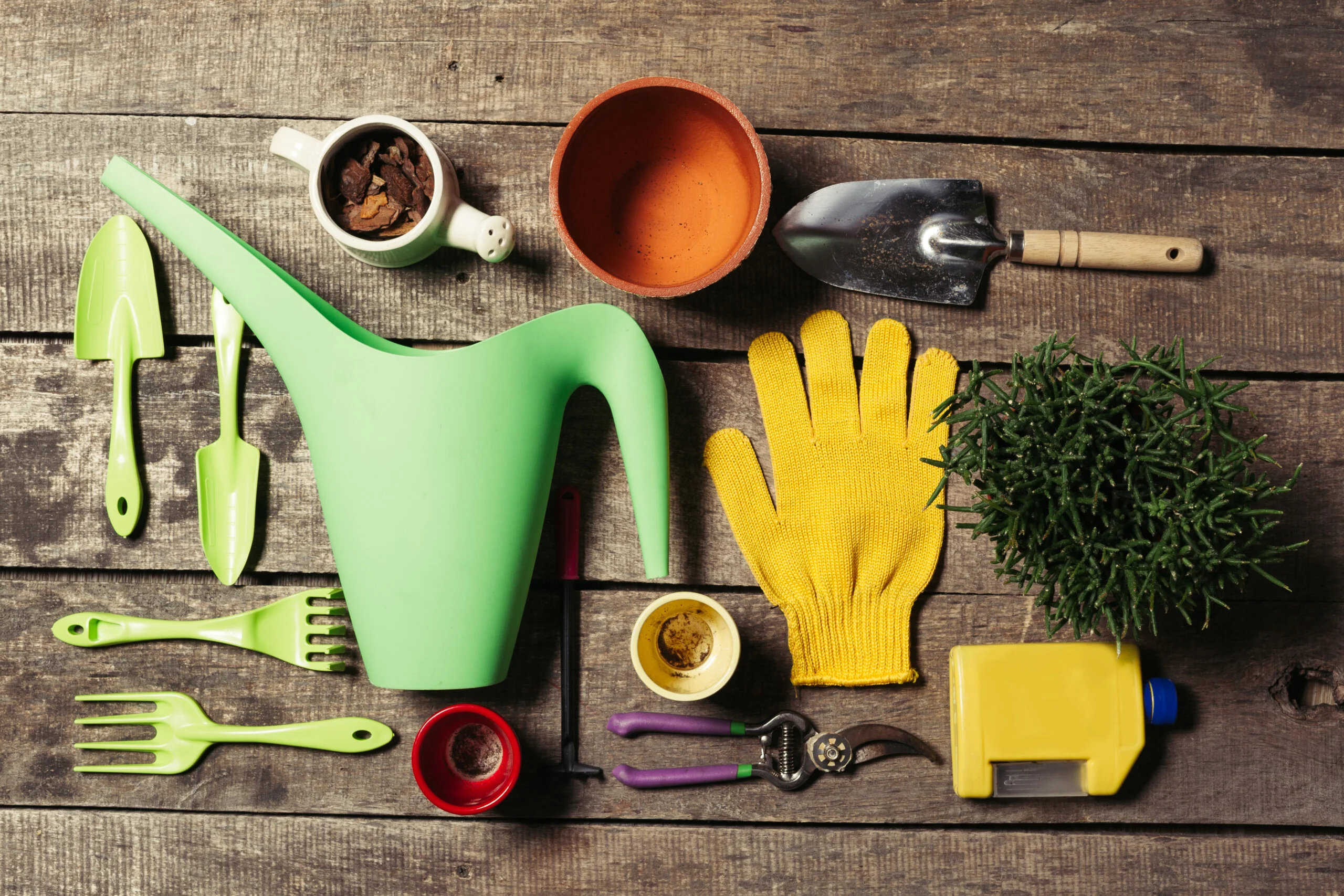 Essential lawn care tools demonstrated for proper home use