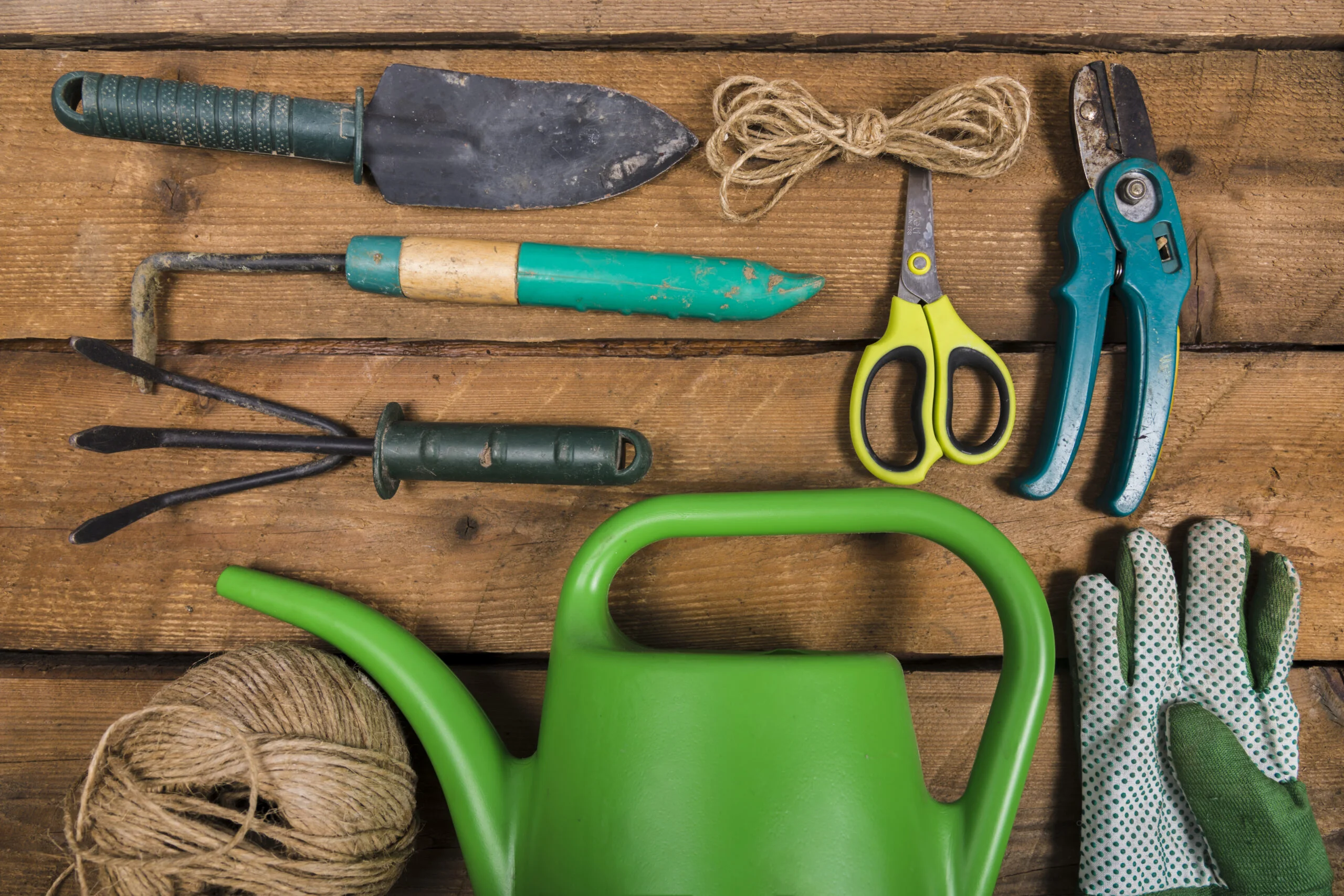 Chart showing essential lawn tools vs optional and rental use
